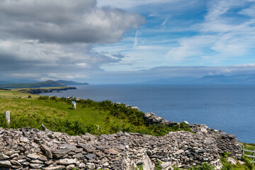 lone sheep grazing on the coastal cliffs of the Dingle Peninsula with traditional dry stone wall in the foreground