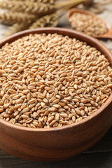 Wheat grains in bowl on wooden table, closeup