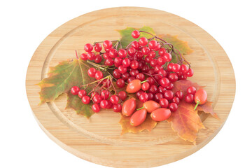Red viburnum berries with rose hips lie on autumn maple leaves.