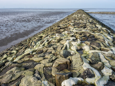 Buhne im Wattenmeer am Tossenser Deich bei Niedrigwasser