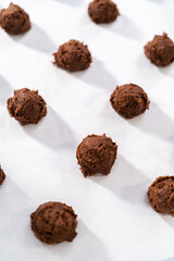Chocolate Cookies with Chocolate Hearts