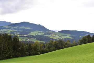 Fototapeta na wymiar Alpen-Tal-Wolken-Wiese