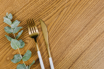Cutlery. Fork and knife with eucalyptus branch on brown table