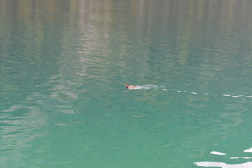 Achensee-Alpen-Österreich-Wasser-See