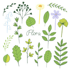 Plants set vector illustration, hand drawn doodles