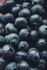 Blurred background from black berries. Blueberry.