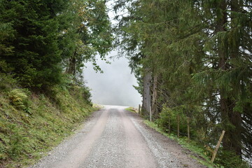 Fototapeta na wymiar Wolken-Nebel-Alpen-Wald-Zaun