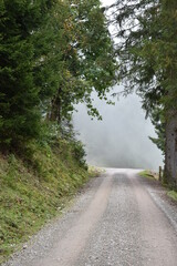 Wolken-Nebel-Alpen-Wald-Zaun
