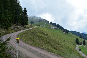 Alpen-Berge-Wälder-Wiesen-Tal