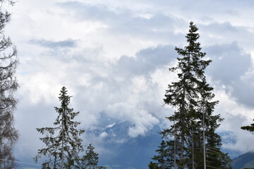 Alpen-Berge-Wälder-Wiesen-Tal