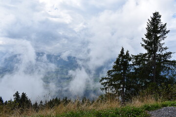 Alpen-Berge-Wälder-Wiesen-Tal