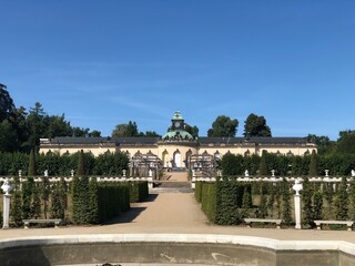 Fototapeta premium garden in the park