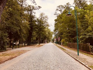 road in the Wünsdorf Germany