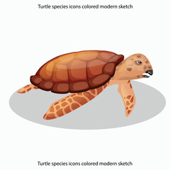 Naklejka premium Turtle species icons colored modern sketch