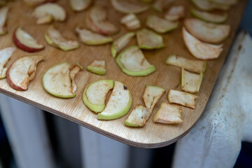 Sliced pieces of apples are laid out on a cutting board and dried on a radiator. Dried apples