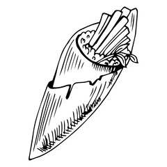 Temaki sushi roll, Japanese food cuisine sketch icon for restaurant menu, vector. Temaki sushi roll with salmon or tuna fish and rice in nori or yakinori seaweed, Japanese food hand drawn