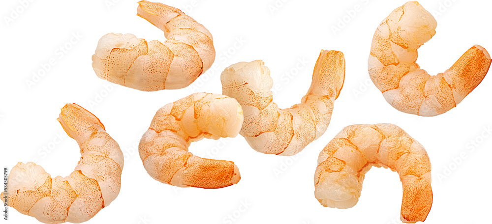 Wall mural Shrimps isolated