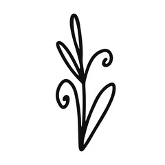 Branch. Linear vector image