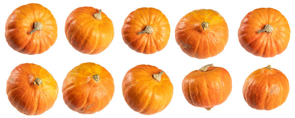Ten different pumpkin images (Hokkaido pumpkin) isolated on white. Different positioning with same lighting setup. - obrazy, fototapety, plakaty