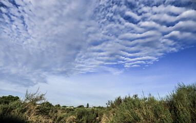 Obraz premium Beautiful landscape in the countryside with Altocumulus clouds