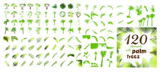Palm trees set. Palm leaves elements. Vector illustration