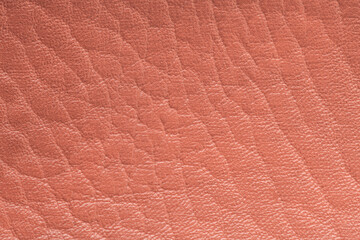 Fototapeta premium Coral color artificial or synthetic leather background with neat texture and copy space