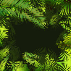 Fototapeta na wymiar Frame with palm leaves. Vector illustration