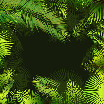 Frame with palm leaves. Vector illustration
