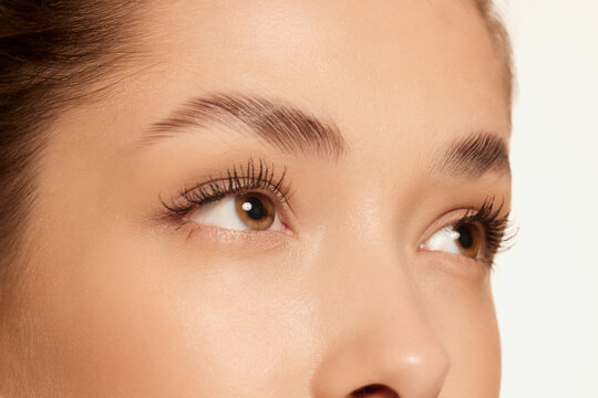 Brown Eyes. Close Up Portrait Of Beautiful Young Girl Looking Away. Lamination Of Lashes And Eyebrows