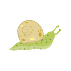 Snail with shell. Small green insect. Forest slow slimy animal.