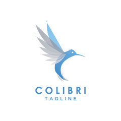 Colorful Colibri. Hummingbirds Logo