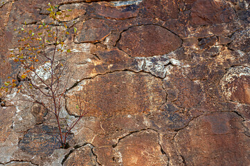 Texture of a cracked stone wall for background