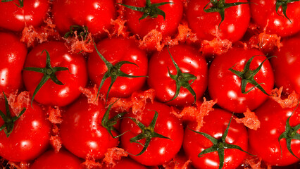 Freeze Motion Shot of Splashing Fresh Tomatoes, Close-up.
