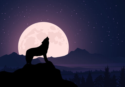 Silhouette of a wolf howling at the
moon, mountains inside the mist clouds, for, full moon, forest. Starry night. Mountain landscape vector illustration.