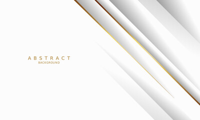 white luxury premium background and gold line.