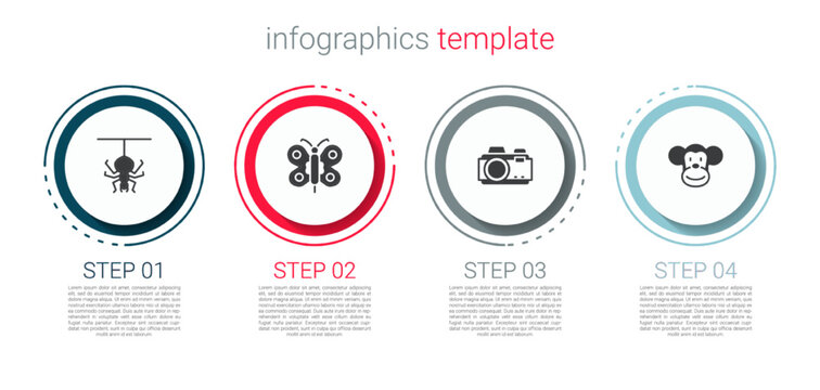 Set Spider, Butterfly, Photo camera and Monkey. Business infographic template. Vector
