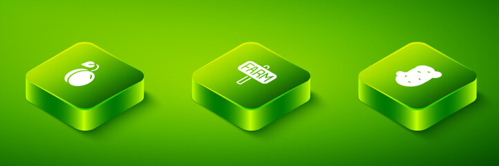 Set Isometric Location farm, Potato and Plum fruit icon. Vector