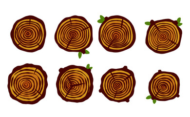 Cut tree trunk. Stump cross section. Concentric circular pattern on brown wood.