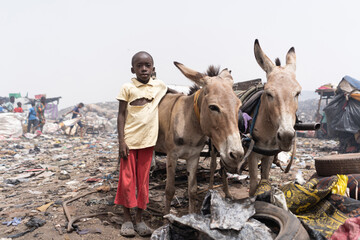 Little African boy standing next to his donkeys in an illegal landfill, where he earns money as a...