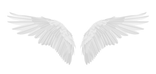 Vector realistic angel wings isolated on transparent background - 534513143