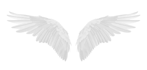 Fotobehang Vector realistic angel wings isolated on transparent background © Kateina
