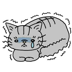 怖がる猫、怯える猫、恐怖の猫、ストレスの猫、泣く猫