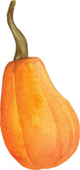 Watercolor cartoon pumpkin