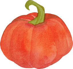 Watercolor cartoon pumpkin