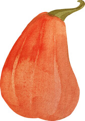 Watercolor cartoon pumpkin