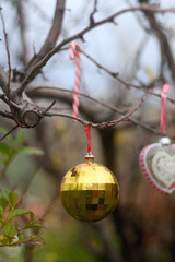 Bare tree in the garden, decorated with colorful Christmas ornaments. Selective focus.