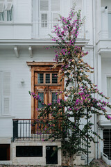 Fototapeta na wymiar Old villa on Princess Island, Istanbul, Turkey