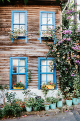 Fototapeta na wymiar Old wooden house in nature on Princess Island, Istanbul, Turkey