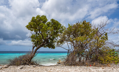 Fototapeta na wymiar Views around the Caribbean Island of Curacao 