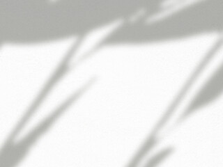 Blurry realistic natural organic shadow of leaf